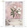 peonia, peonie, kwiat, biały, biel, deska, deski, motyl, R988, peony, peonies, flower, board, butterfly, white peony, background, Pfingstrose, Blume, Brett, Schmetterling, weißen Pfingstrose, Hintergrund, Aquarellflecken, peonia, flor, tabla, mariposa, co
